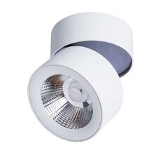 Спот Divinare 1295/03 PL-1_DI