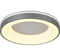 Потолочный светодиодный светильник с пультом (ночной режим) Escada 627/A LED_ESC