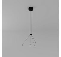 Подвес-держатель Arte Lamp FADO A660006