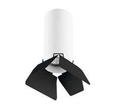 Накладной светильник LightStar Rullo R486437_LS