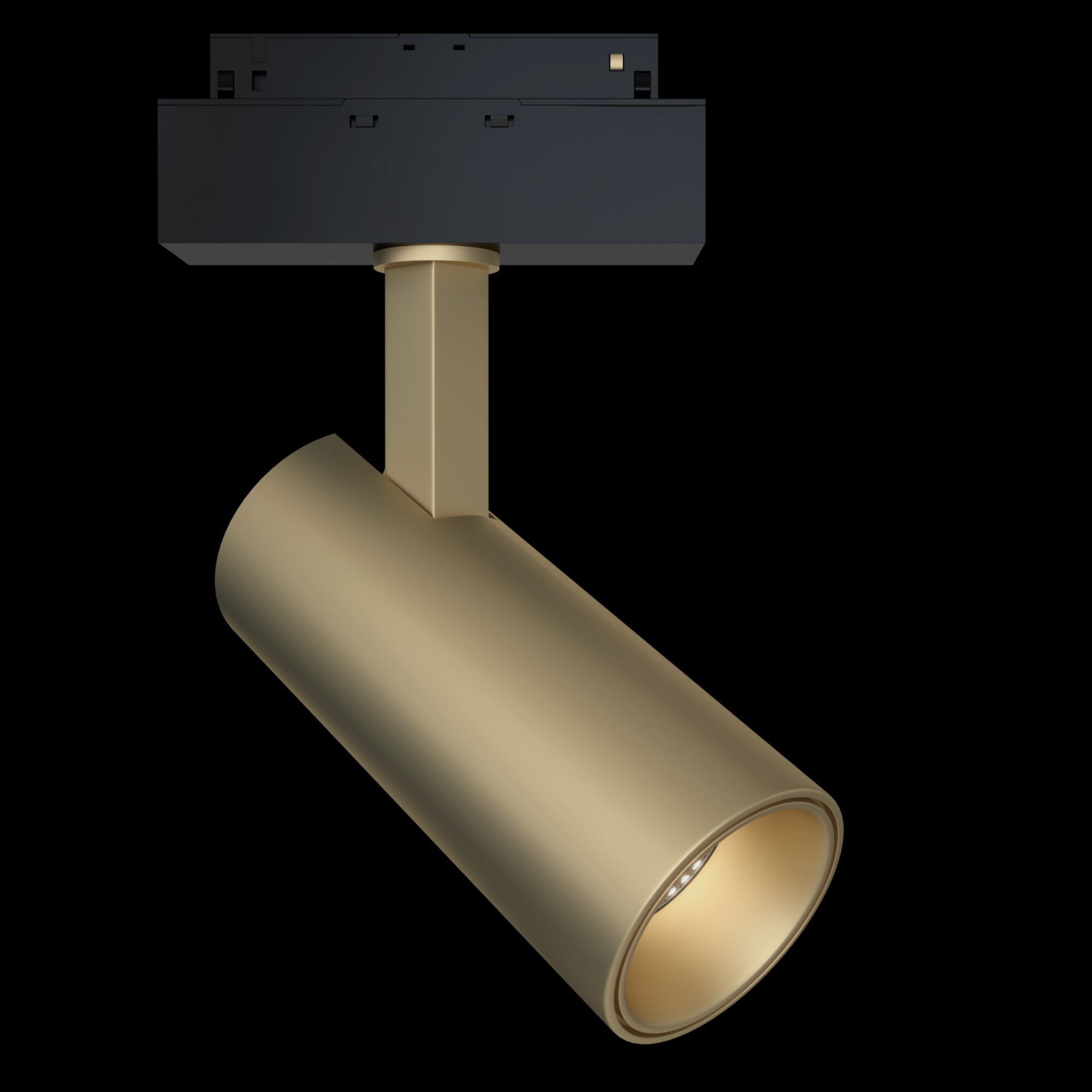 Трековый светильник магнитный Maytoni Focus LED TR019-2-15W4K-MG_MY