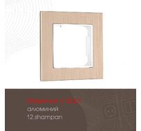 Рамка из алюминия на 1 пост Arte Milano 503.12-1.shampan