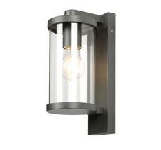 Уличный светильник настенный Lukturis 3038-1W