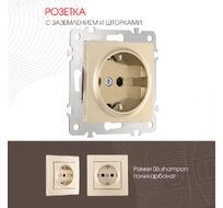 Розетка с заземлением и шторками 16A 250V Arte Milano 206.40-1.shampan