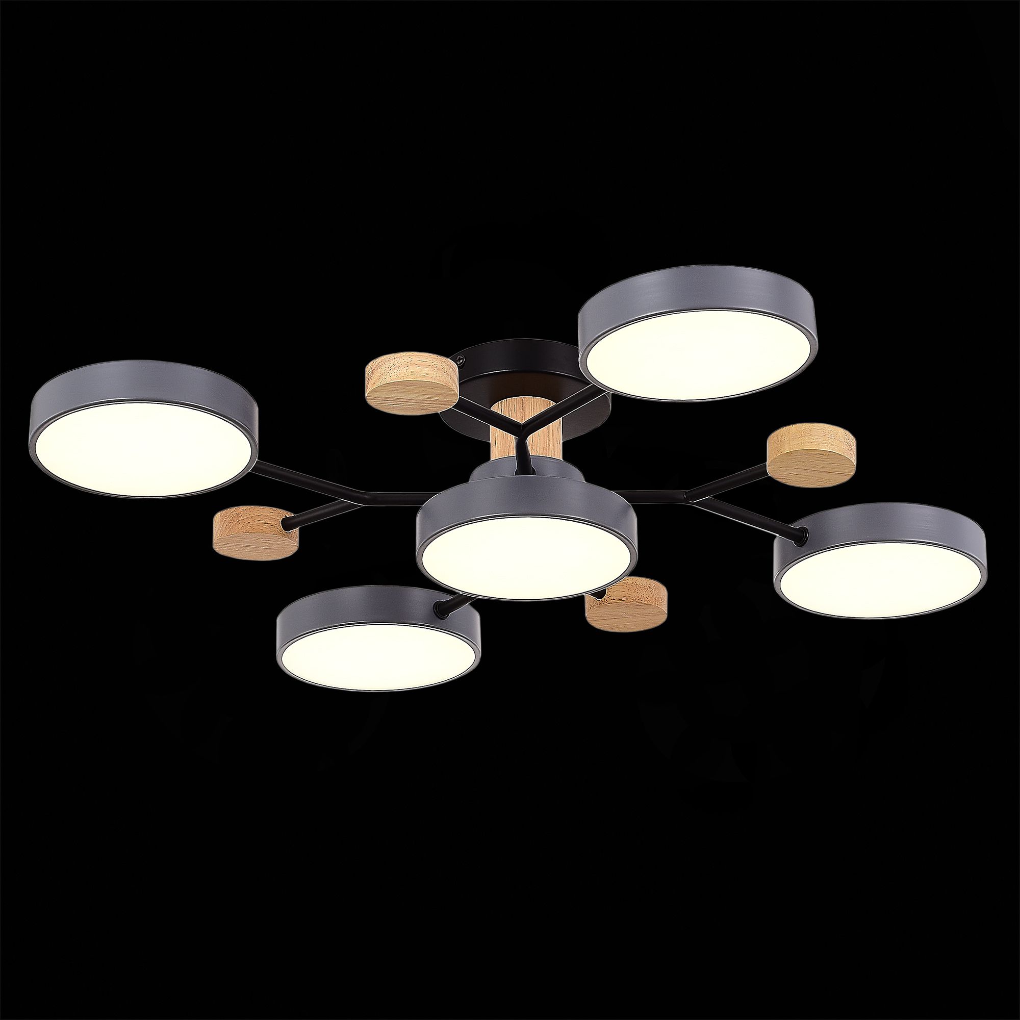 Потолочная люстра Evoluce FAEMA SLE6006-702-05