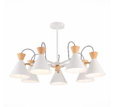 Потолочная люстра Evoluce Modica SLE125102-07