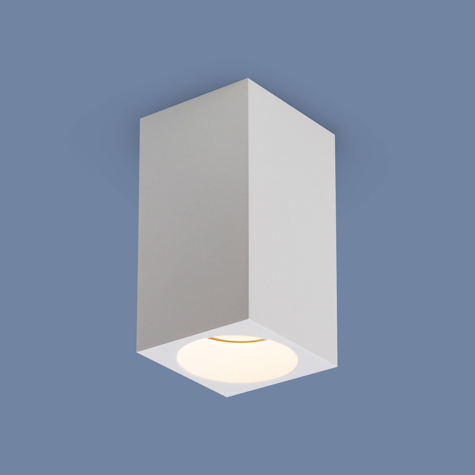 

Накладные светильники Elektrostandard, a040989