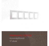 Рамка из поликарбоната на 5 постов Arte Milano 517.17-5.silver