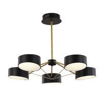 Потолочная люстра Evoluce на штанге MONTA LED SLE6005-402-05