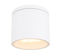 Уличный потолочный светильник ALCALA WHITE 32063W_GL