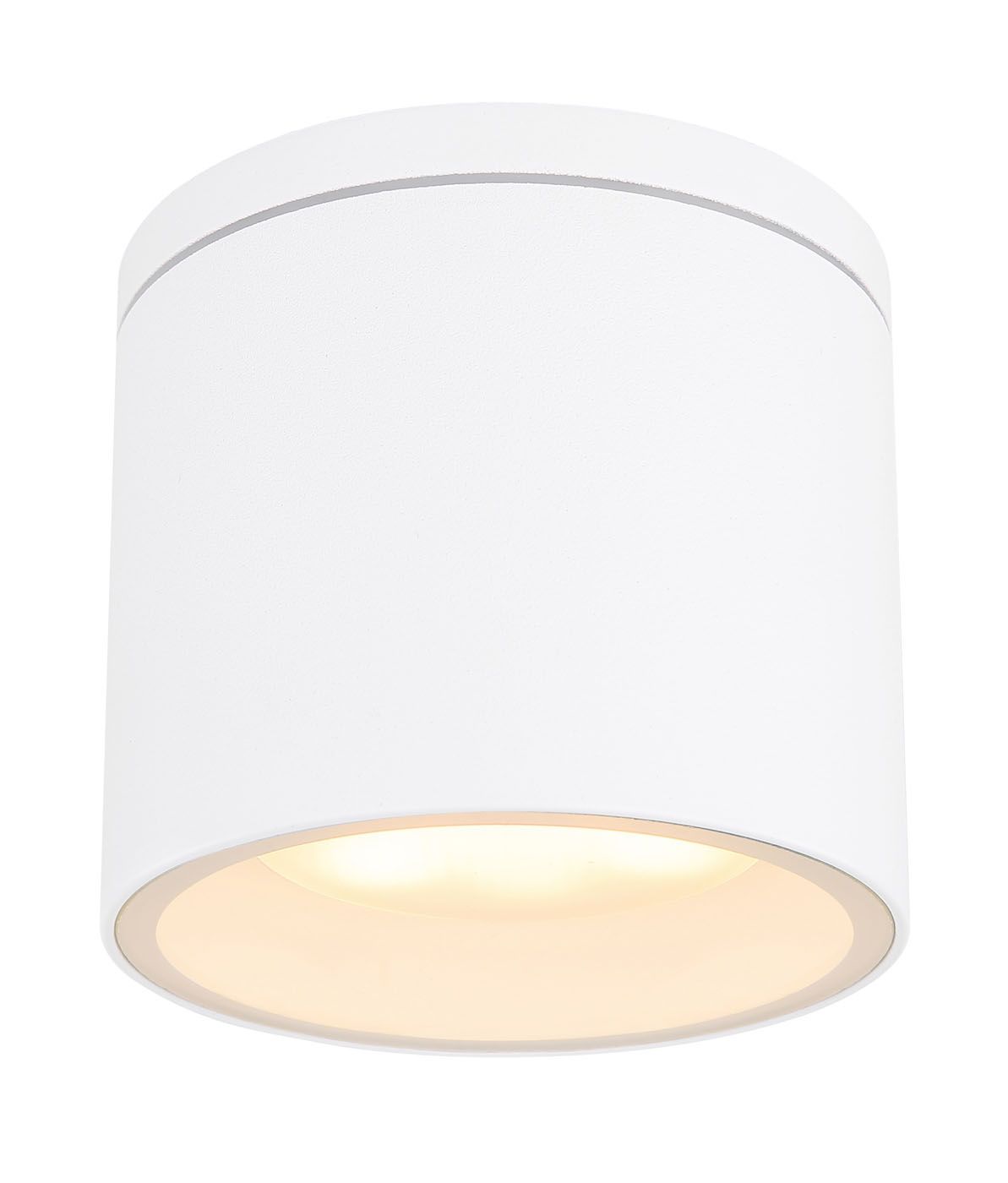 Уличный потолочный светильник ALCALA WHITE 32063W_GL