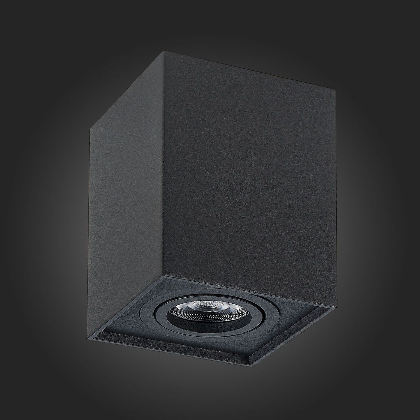 Накладной светильник ST Luce FUNCZIONALE ST109.407.01