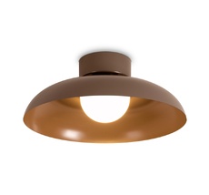 Потолочный светильник Freya FR5602CL-L10BR_MY