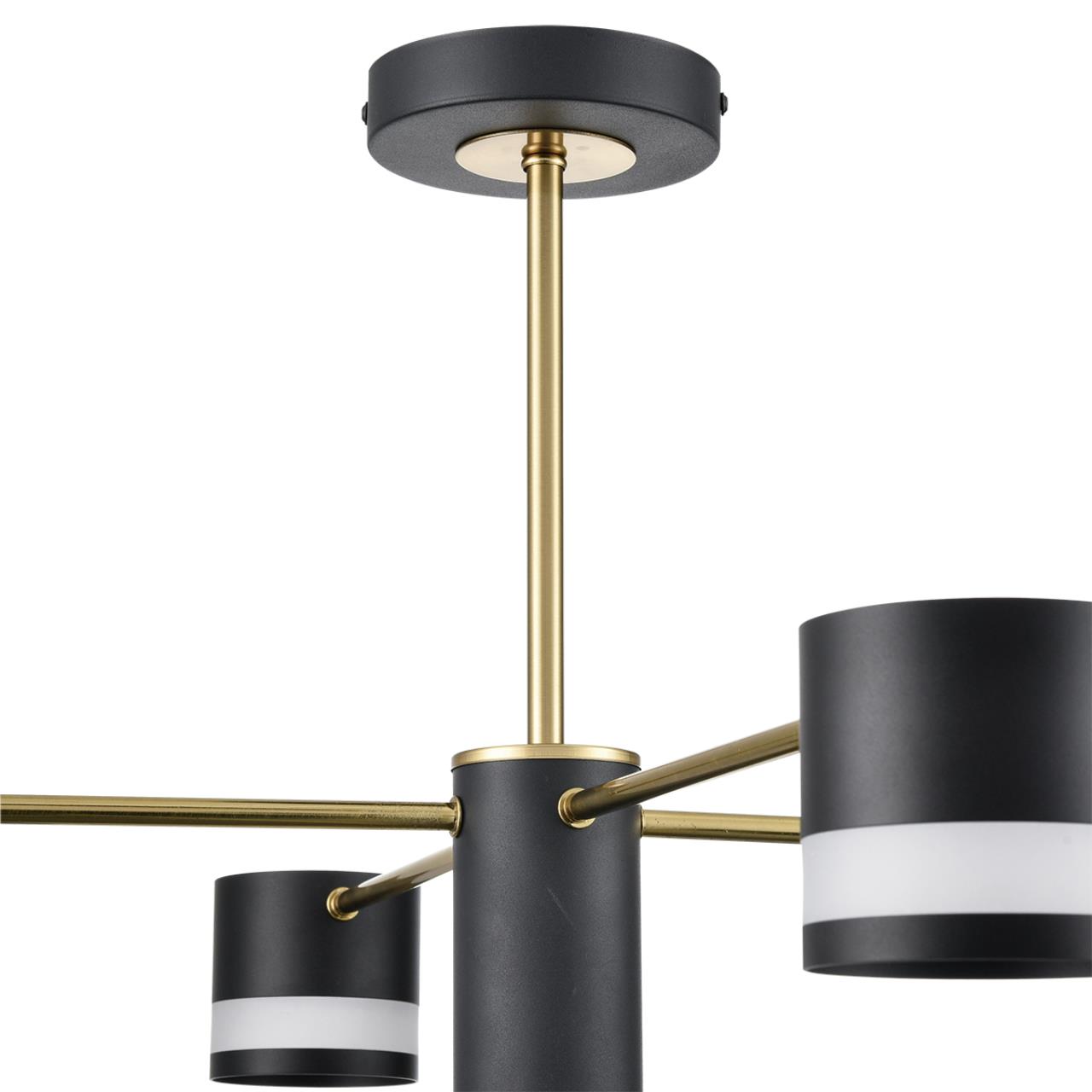 Потолочная люстра Lumion LANIKA 8240/8C