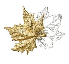 Настенный светильник Odeon Light EVA 4371/6WL