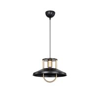 Подвесной светильник Toplight Magdalen TL1659H-01BK