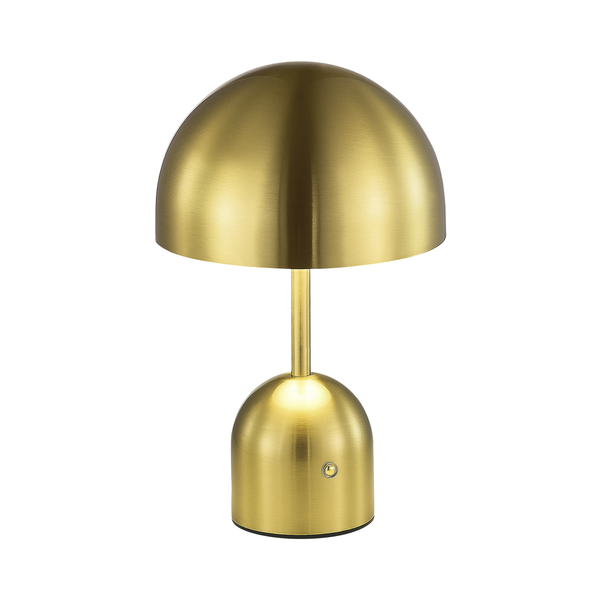 Настольная лампа EVOLUCE ECLAT SLE1806-204-01