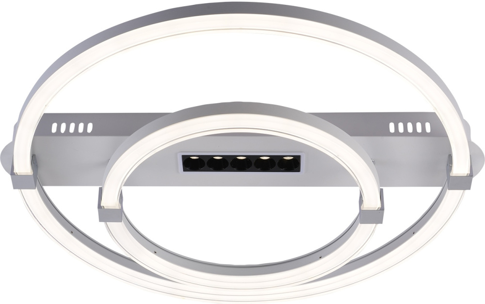 Потолочная люстра (+ночной режим) с пультом Escada 10253/2LED_ESC