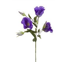 Лизиантус Garda Decor 9F27051-1957