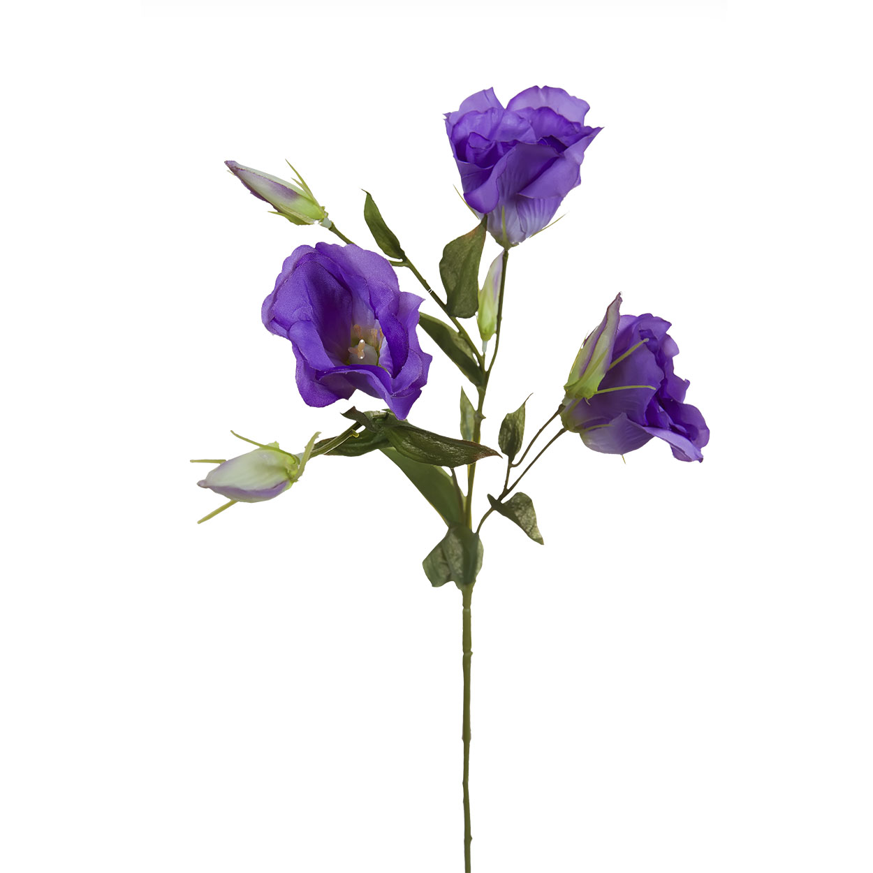 Лизиантус Garda Decor 9F27051-1957