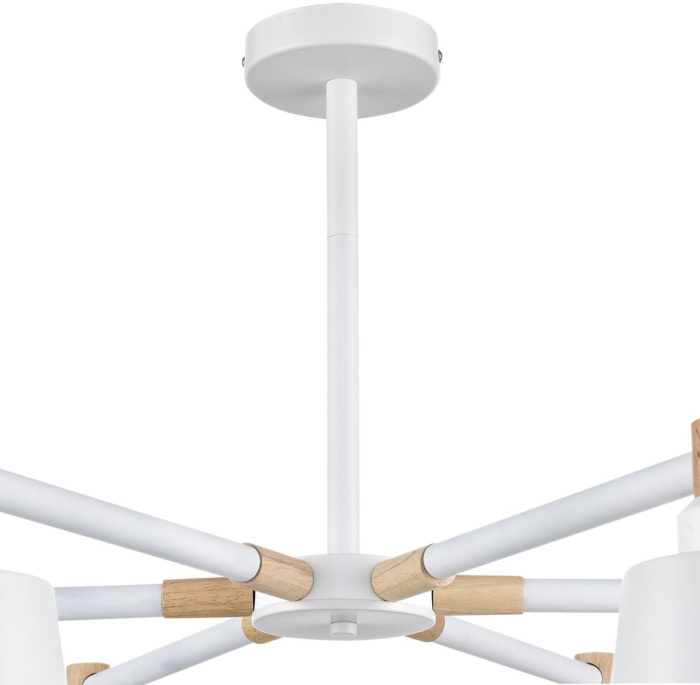 Потолочная люстра Lumion ROSALINA 8097/6C