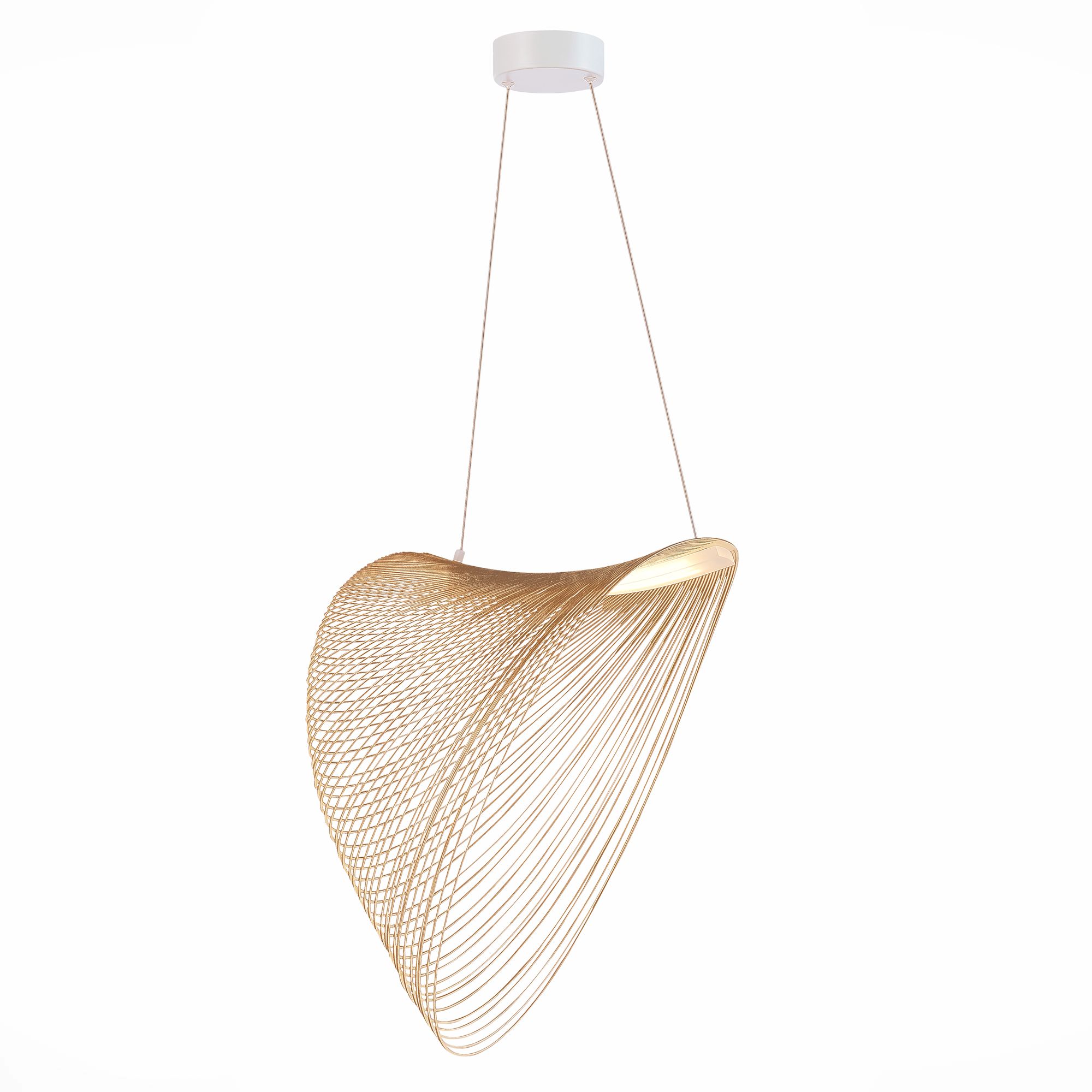 Подвесной светильник ST Luce FOSSIL SL6900.503.24