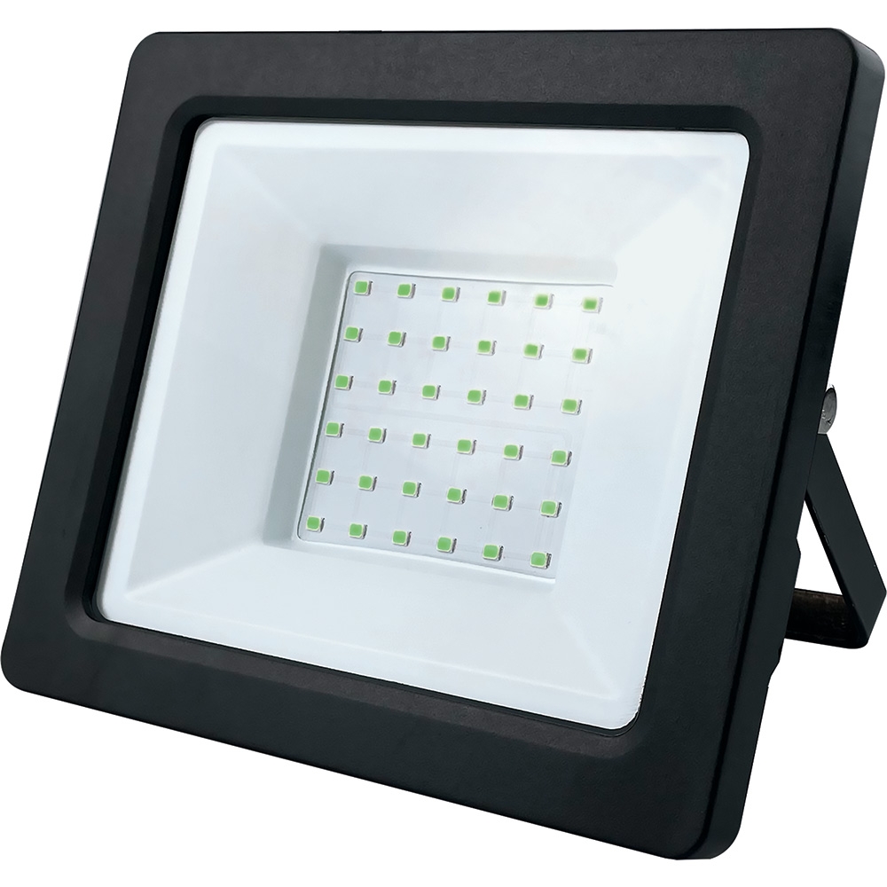 Прожектор уличный светодиодный IP65 (оттенок свечения - зеленый) Feron 32212_FR