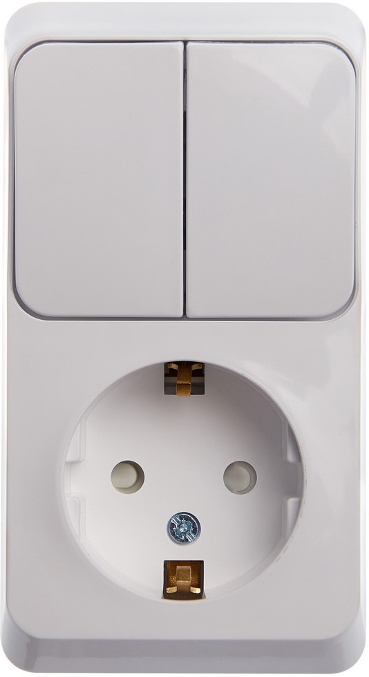 Розетка накладная с заземлением с двухклавишным выключателем (белый) Systeme Electric BPA16-202B