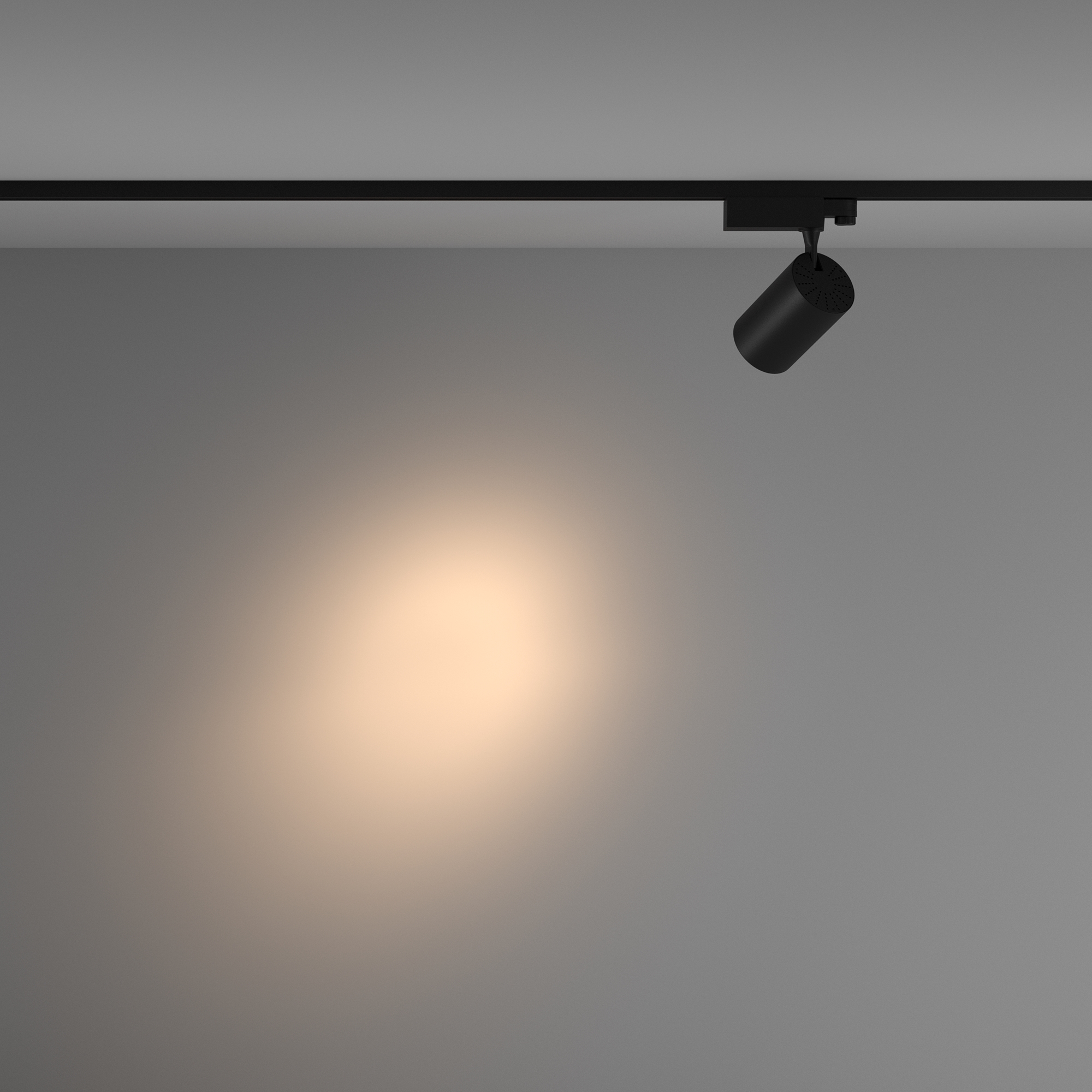 Трековый светильник Maytoni Technical Vuoro TR029-3-20W3K-S-B_MY