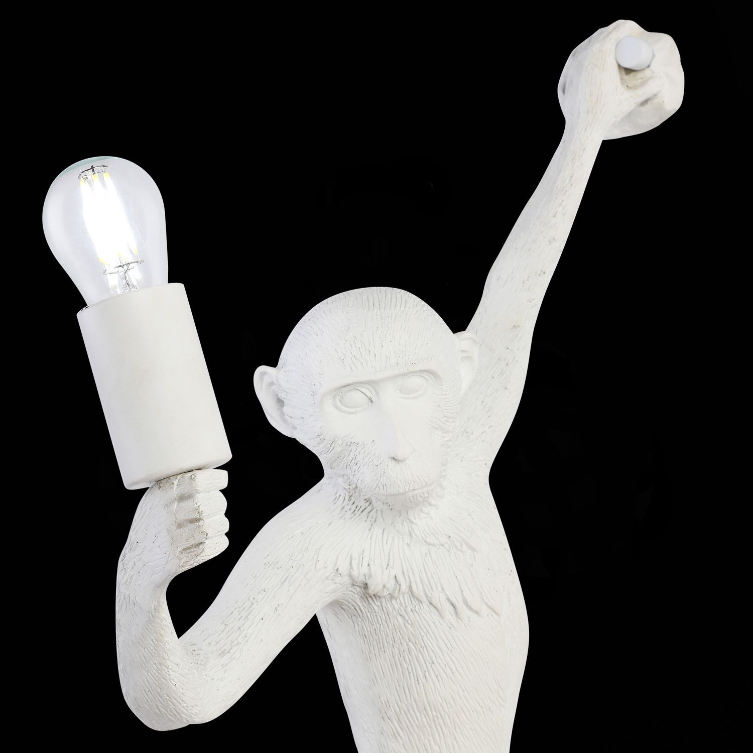 Настенный светильник Evoluce с мартышкой TENATO SLE115111-01