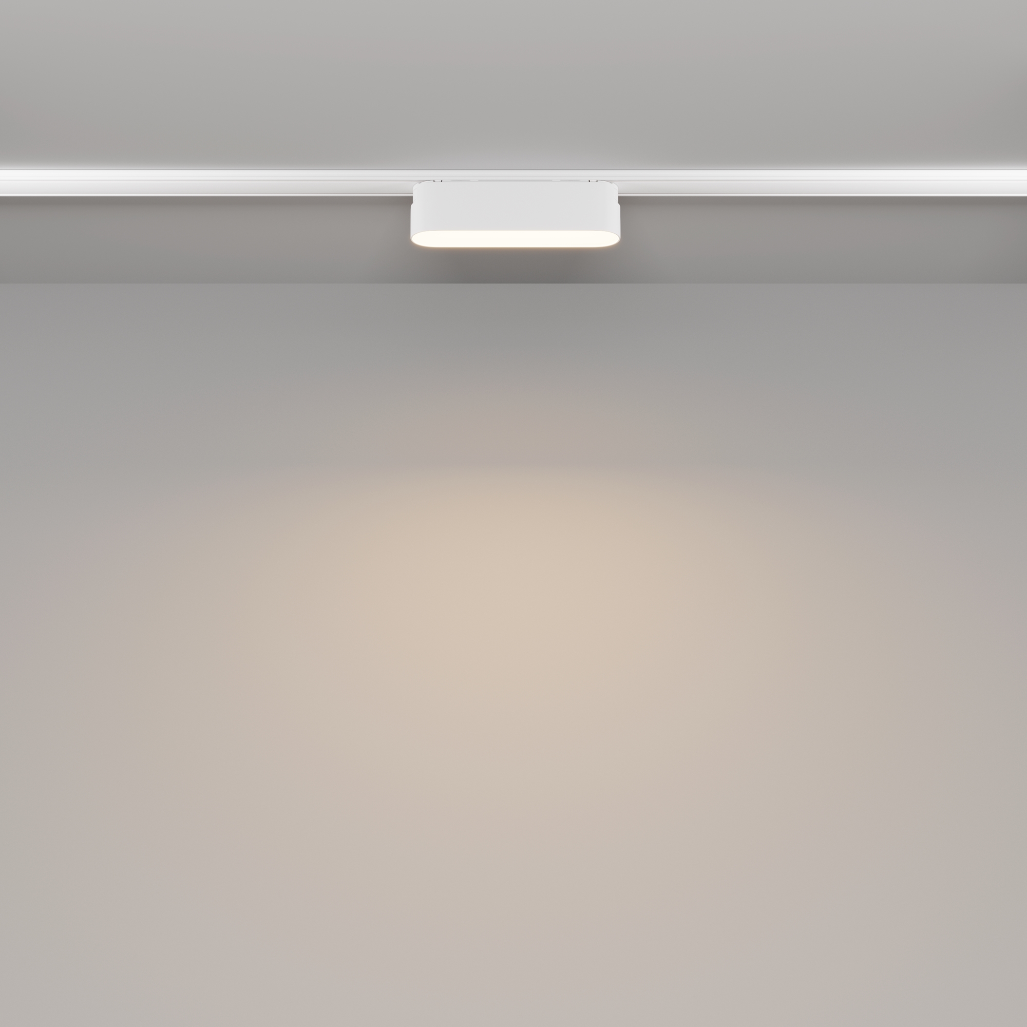 Трековый светильник Maytoni Basis TR080-1-6W3K-W_MY