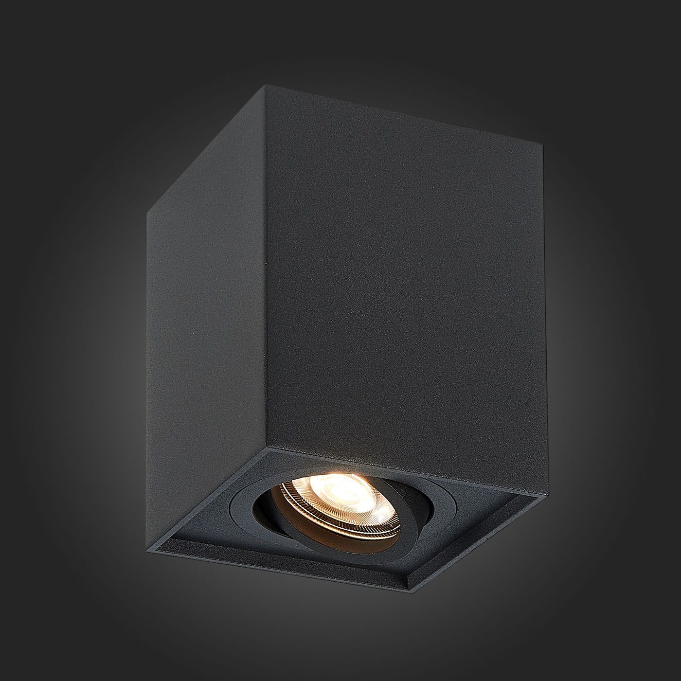 Накладной светильник ST Luce FUNCZIONALE ST109.407.01