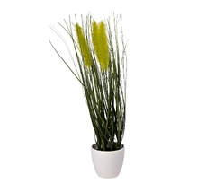 Тростник декоративный в горшке Garda Decor 8J-20RK0006-GR