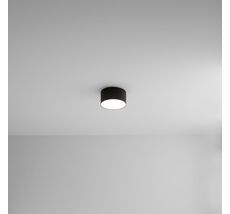 Потолочный светильник Arte Lamp FADO A7312PL-1BK
