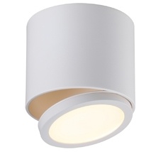 Спот Omnilux OML-20501-01