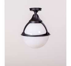 Потолочный светильник уличный IP44 Oasis Light 88105A Bl_OL