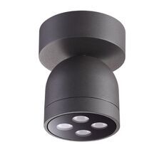 Уличный потолочный светильник GALEATI 358118