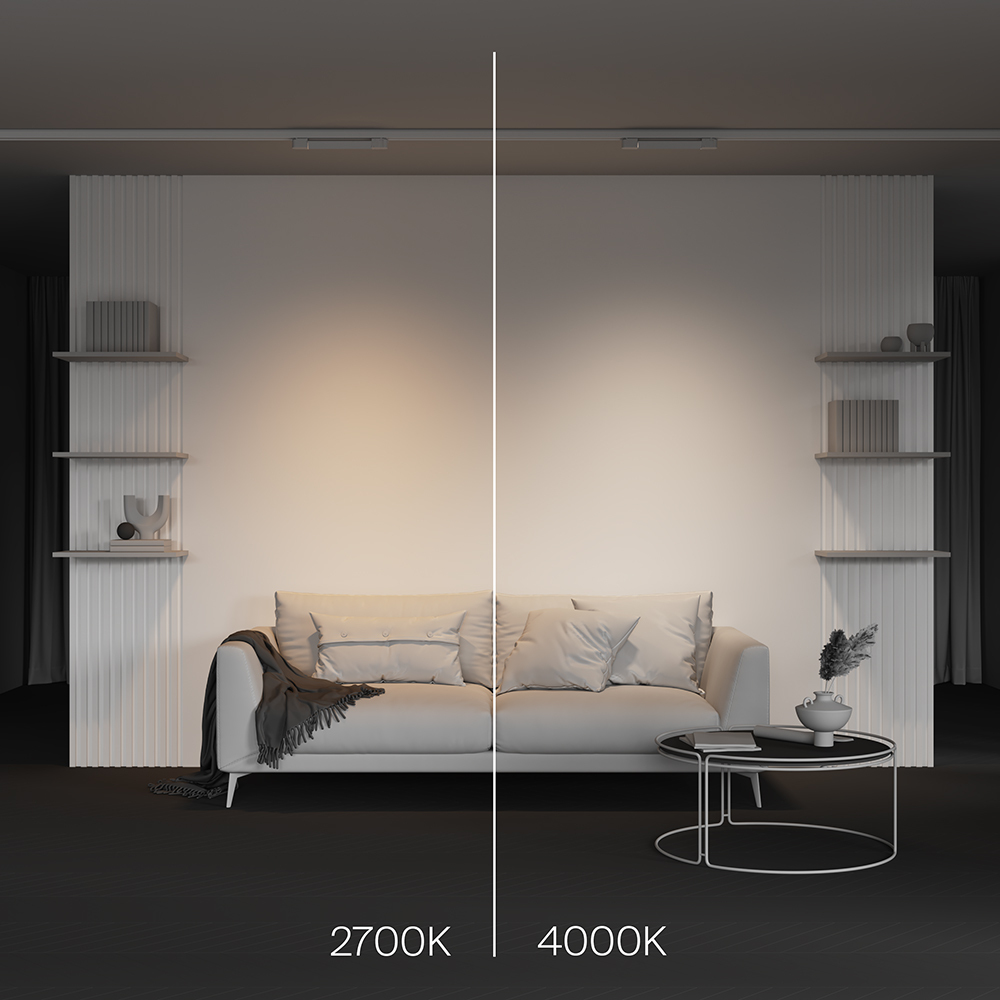 Трековый светильник трехфазный TRINITY Maytoni Basis TR196-3-10W2.7K-W_MY