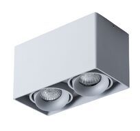 Накладной светильник ArteLamp PICTOR A5654PL-2GY