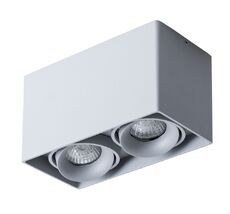 Накладной светильник ArteLamp PICTOR A5654PL-2GY