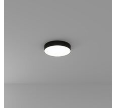 Потолочный светильник Arte Lamp FADO A6635PL-1BK