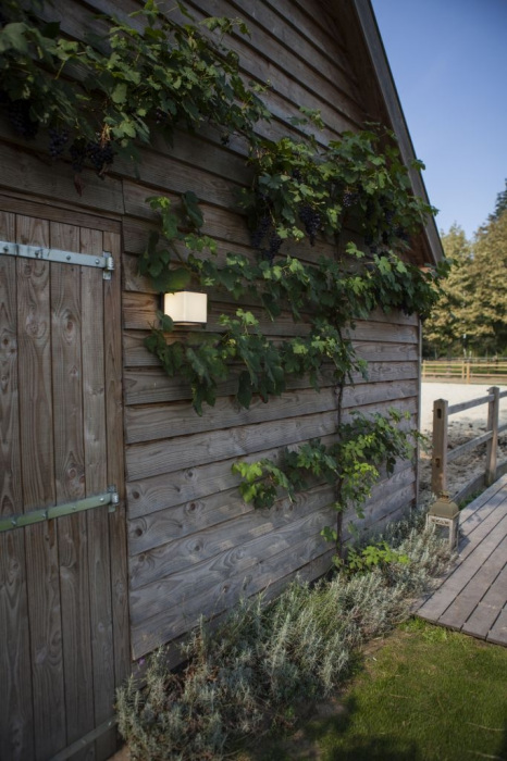 Настенный светильник уличный светодиодный IP54 Oasis Light W1050 Gr_OL