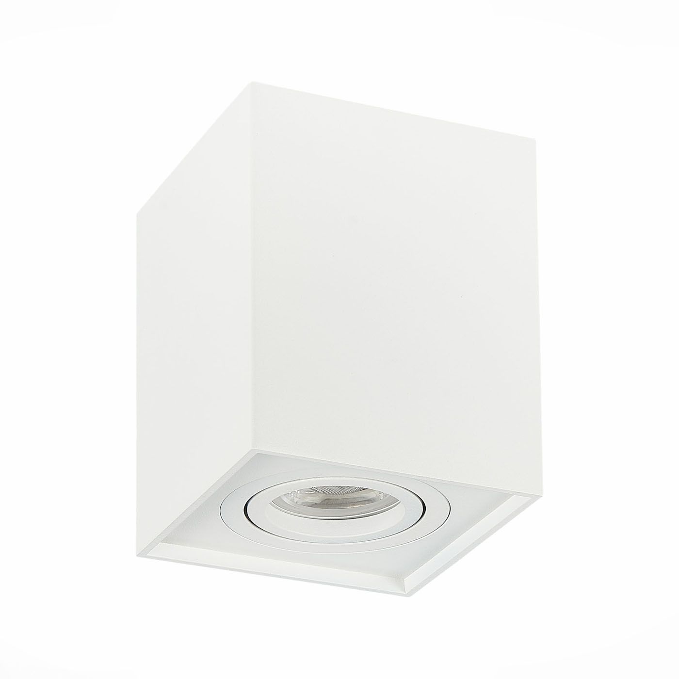 Накладной светильник ST Luce FUNCZIONALE ST109.507.01