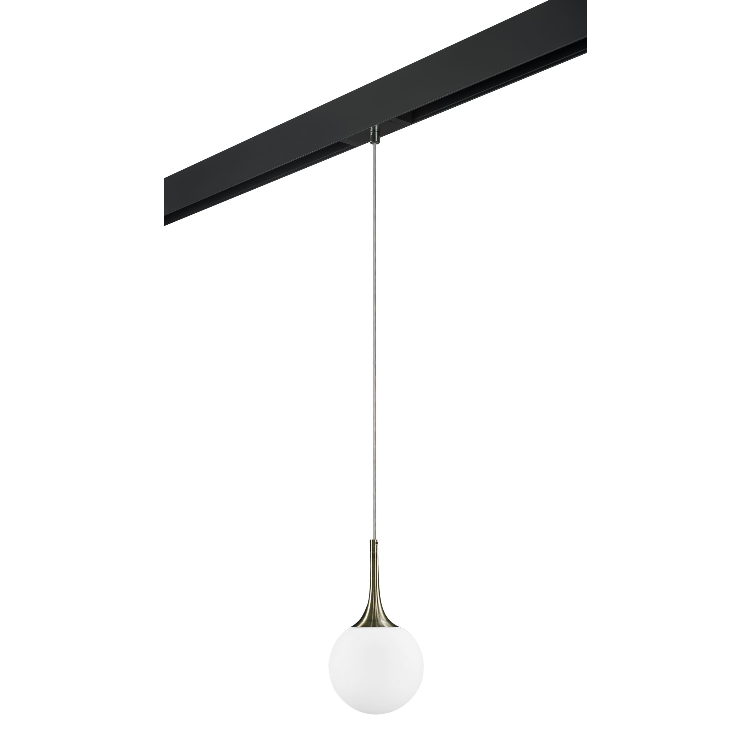 Трековый светильник подвесной Lightstar Globo PRO813011_LS