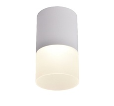 Накладной светильник Favourite Naram 3069-1C