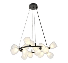 Подвесная люстра Lussole Inglewood LSP-6063