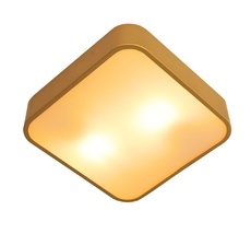 Потолочный светильник Arte Lamp COSMOPOLITAN A7210PL-2GO