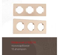 Рамка из поликарбоната на 3 поста Arte Milano 502.15-3.shampan