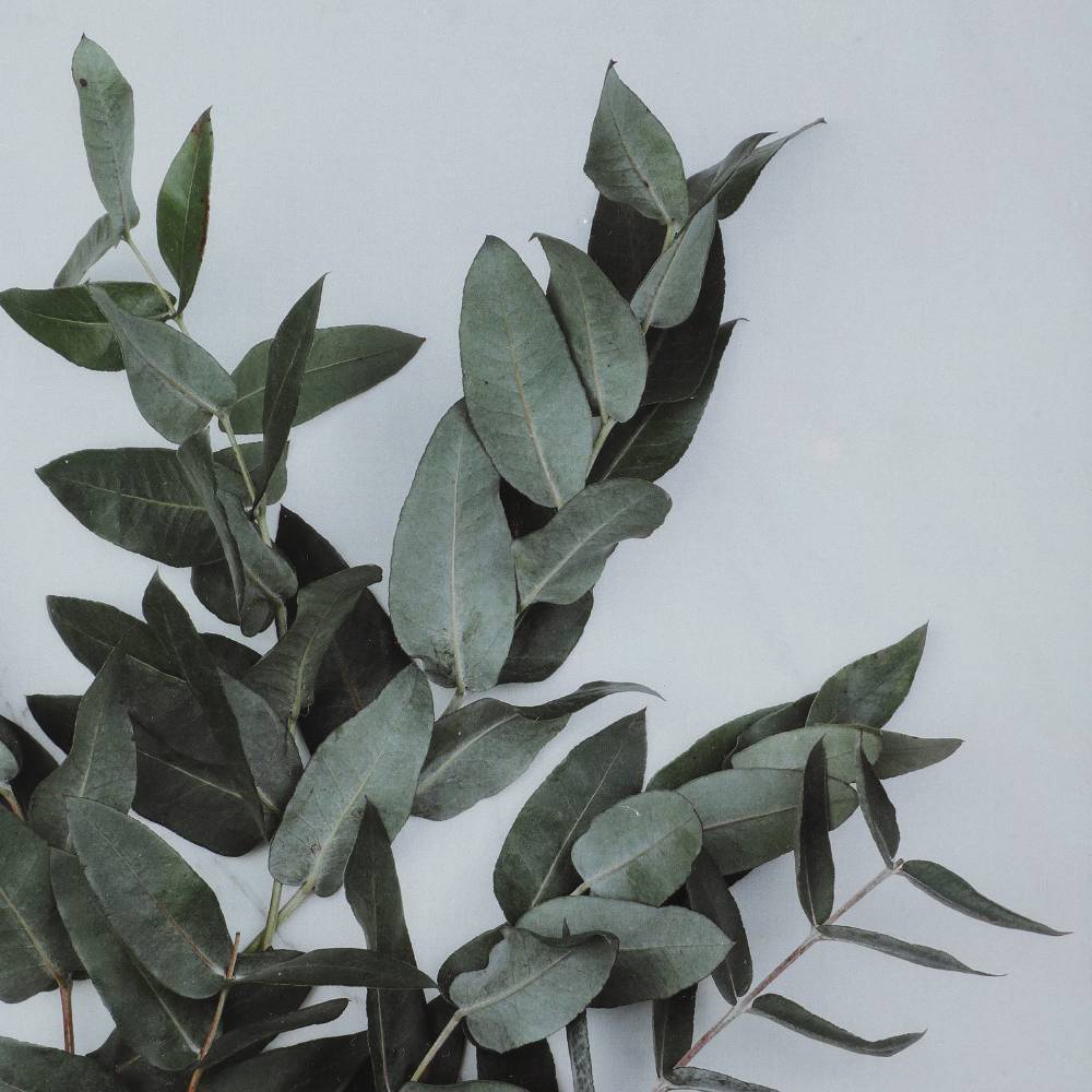 Фоторамка Eglo Living RENABIE 423015