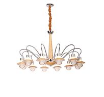 Подвесная люстра Lucia Tucci NATURA Natura 188.12 LED
